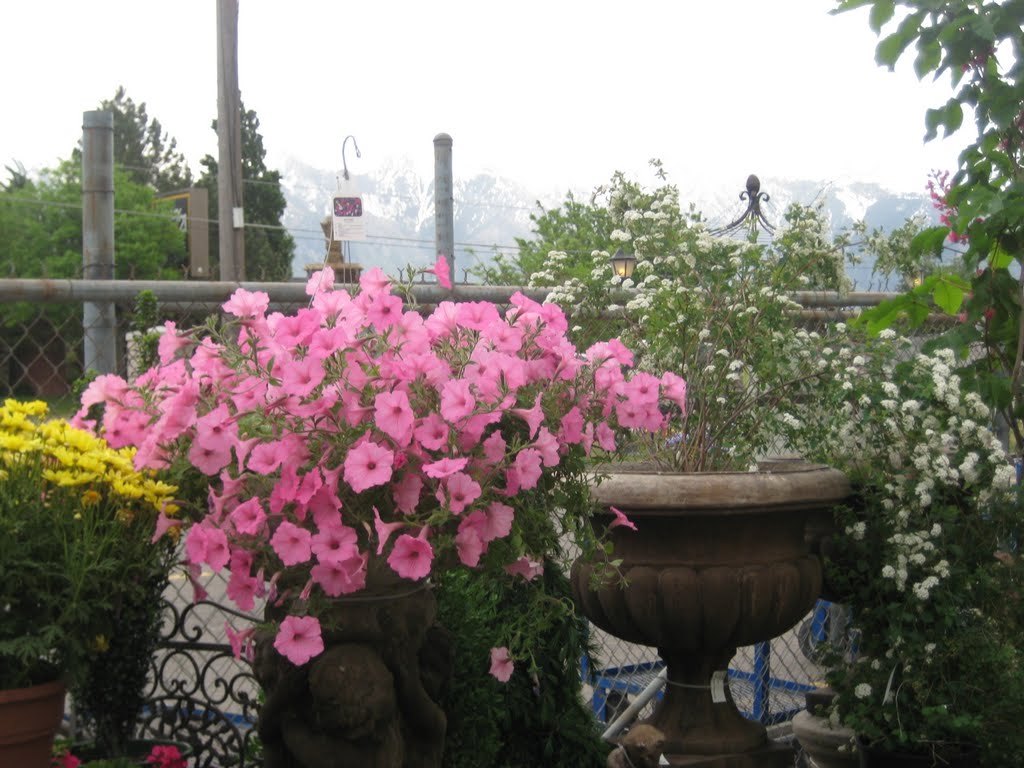 Lovely Flowers, Sandy, Salt Lake City, Гранит-Парк