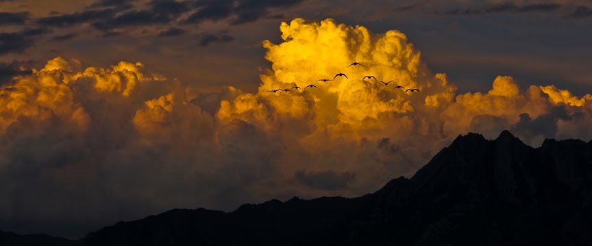 mount olympus geese sunset, Муррей