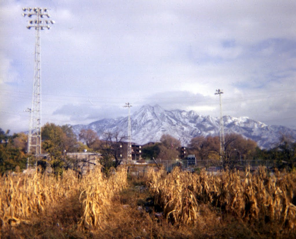 Murray Field and Mount Olympus, 1981, Муррей