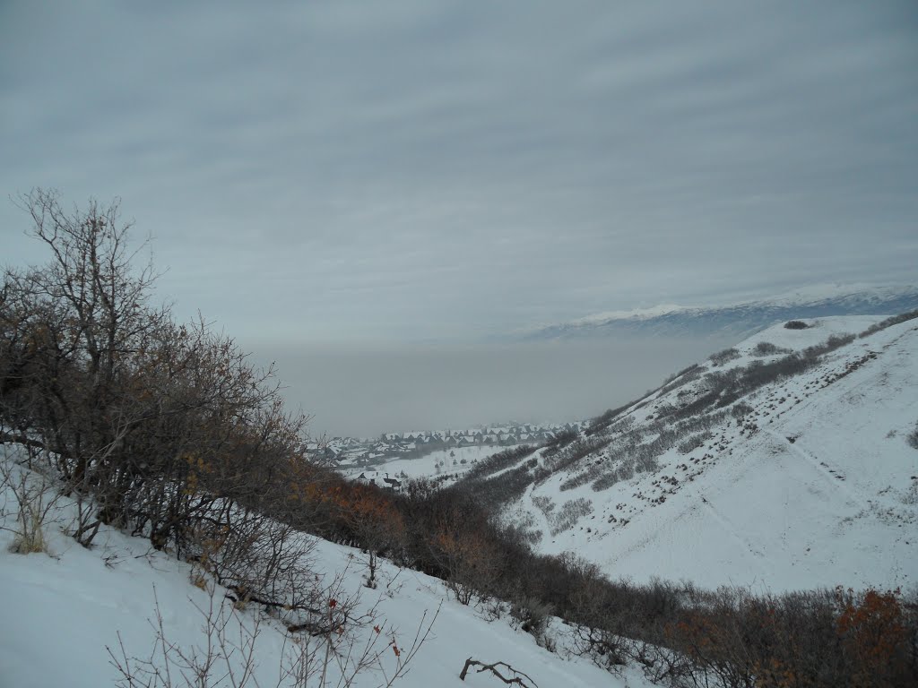 Inversion from wild rose trail, Норт-Солт-Лейк
