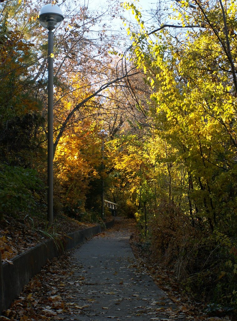 Fall Colors, Прово