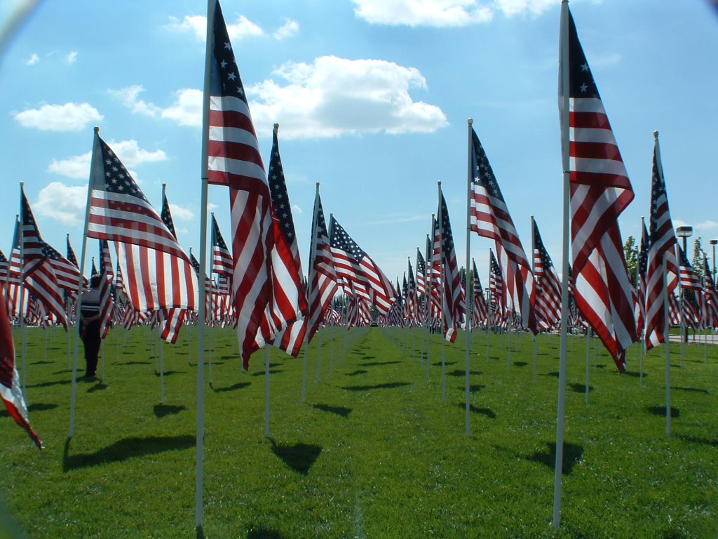 Flags 9-11, Санди