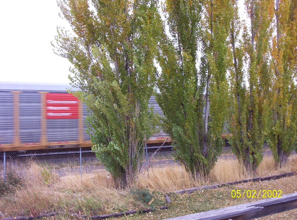 Train in fall 2005, Сансет