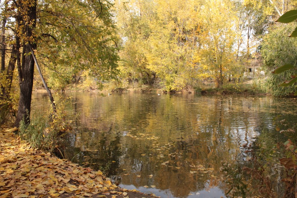 Duck Pond, Саут-Солт-Лейк