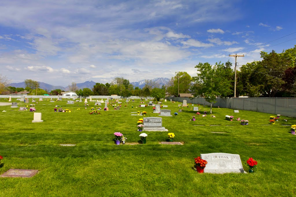 Flowers in the Cemetery, Тэйлорсвилл
