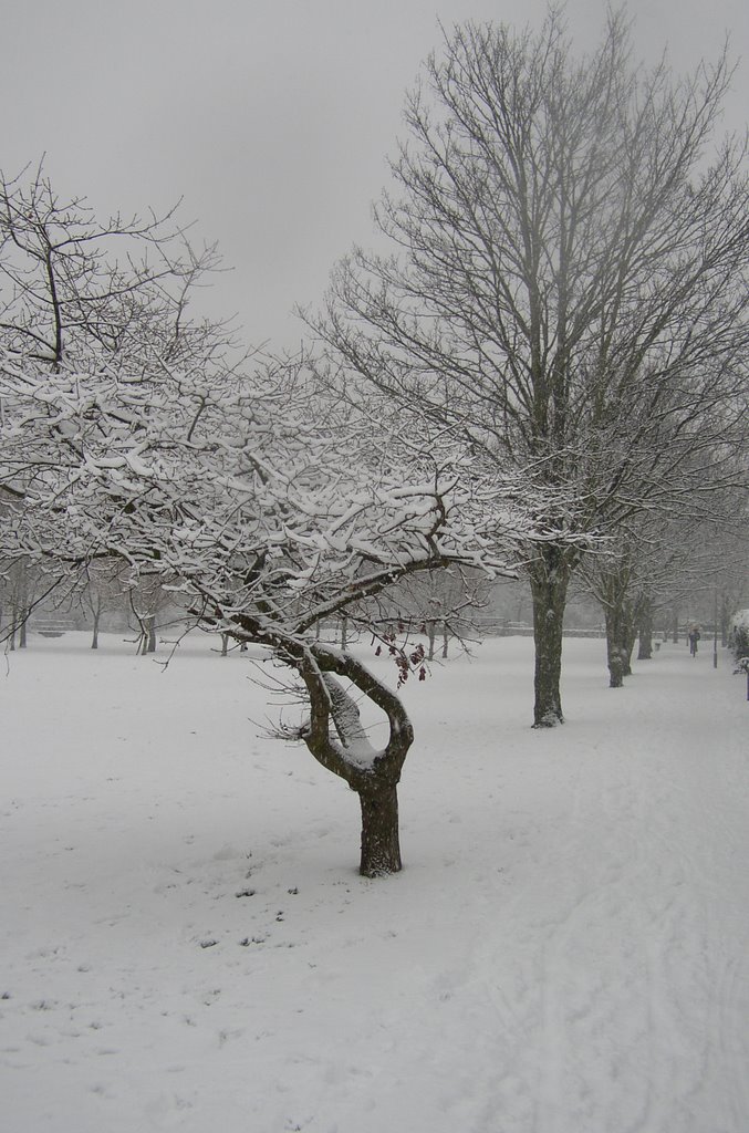Winter in Abingdon, Абингдон