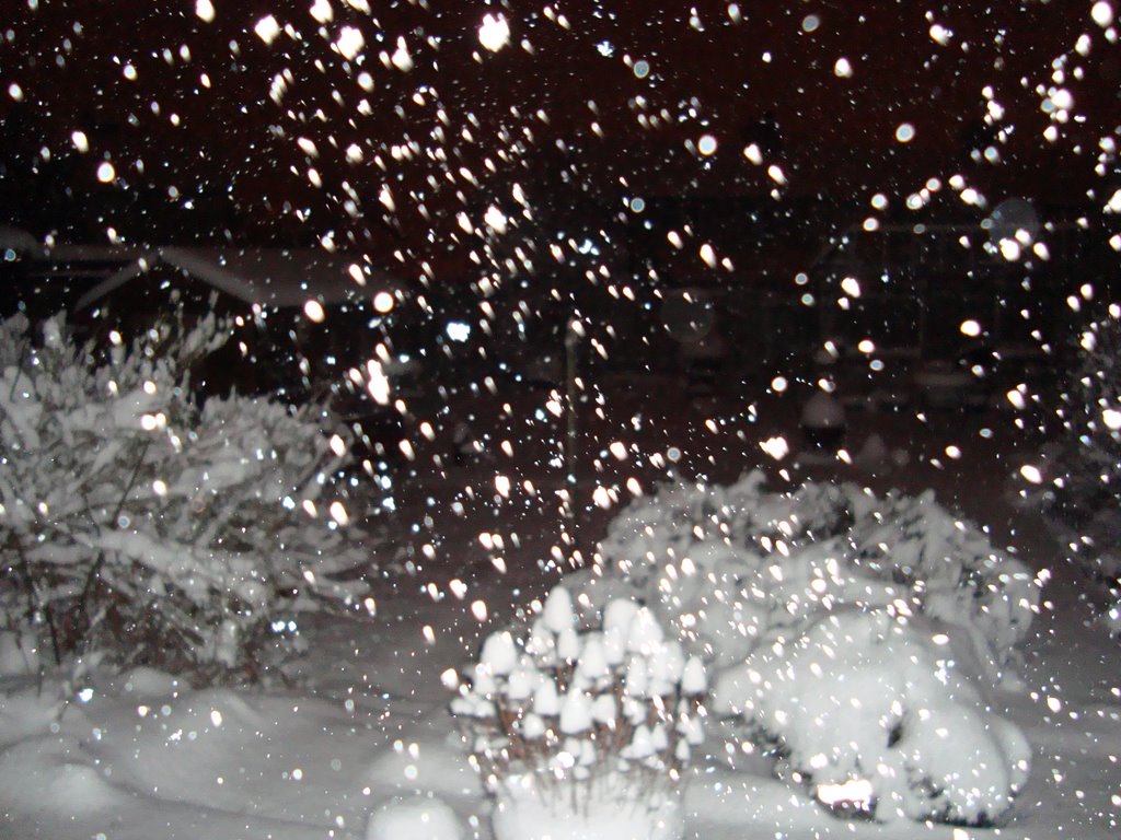 Night snow, Алдершот