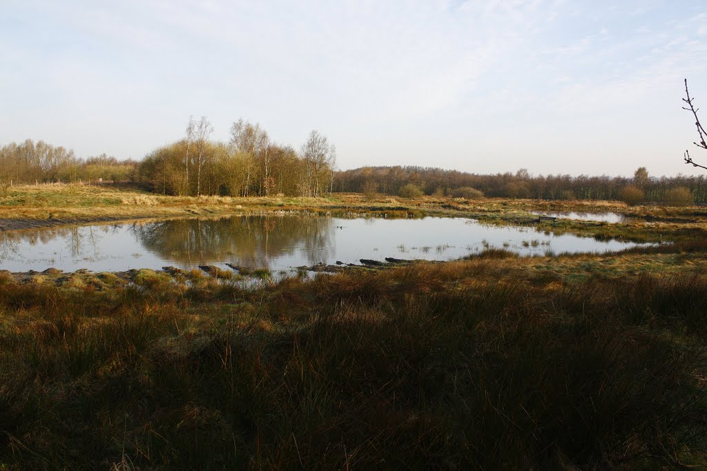 Wet Lands pond, Аштон-ин-Макерфилд