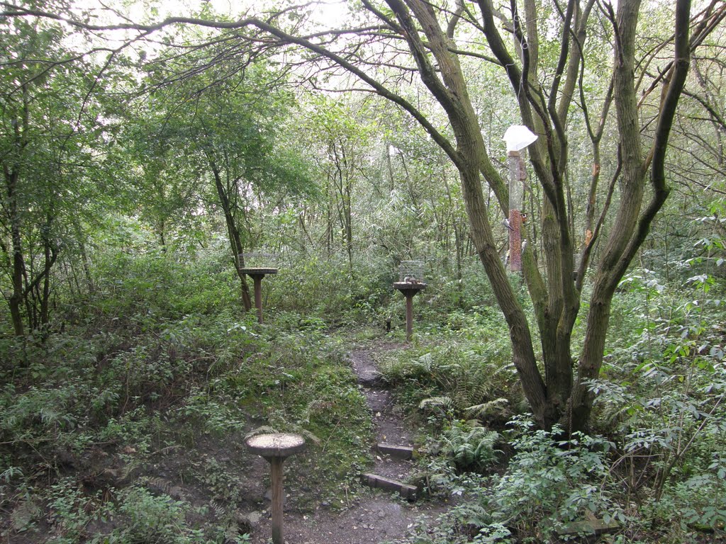 Bird Feeding Station , 3 Sisters Nature Park, Аштон-ин-Макерфилд