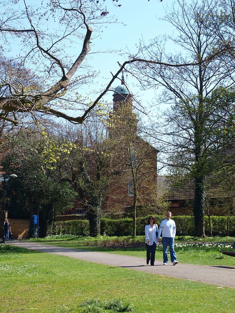 St Marys Church tower from the Peoples Park in the spring., Банбери