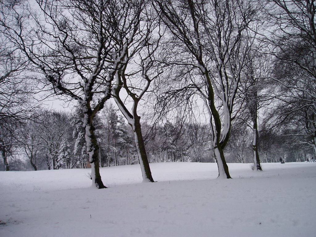 mw25 Locke Park, Barnsley in winter, Барнсли