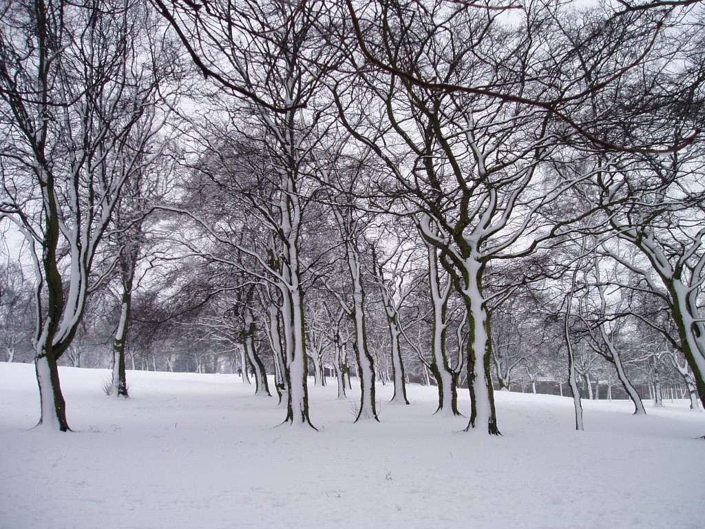 mw29 Locke Park in Winter, Барнсли