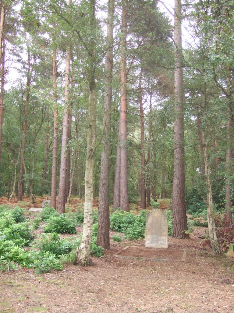 Brookwood/McDougald grave, Басингсток