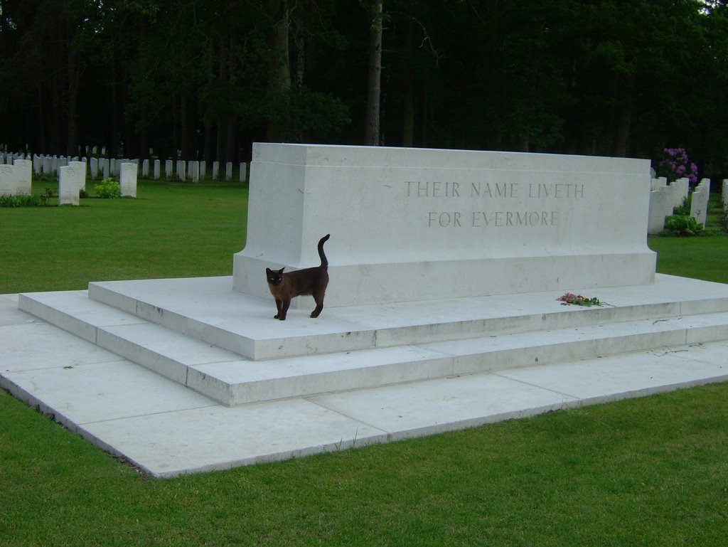 Brookwood WWII Cemetery, Басингсток