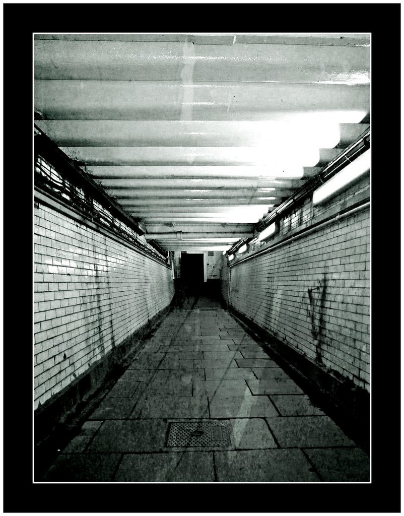 Underground Tunnel, Басингсток