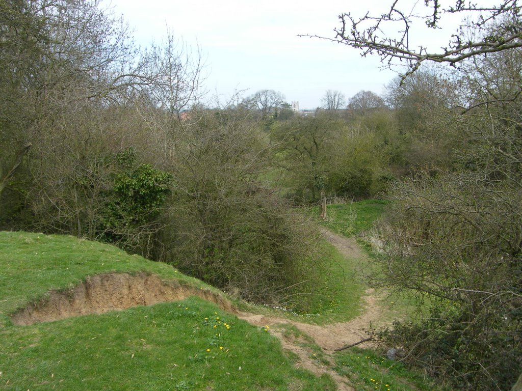 Erosion, Beverley Westwood, Беверли
