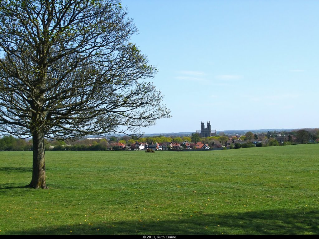 Beverley Minster from The Westwood Pasture, Beverely, East Yorkshire, Беверли