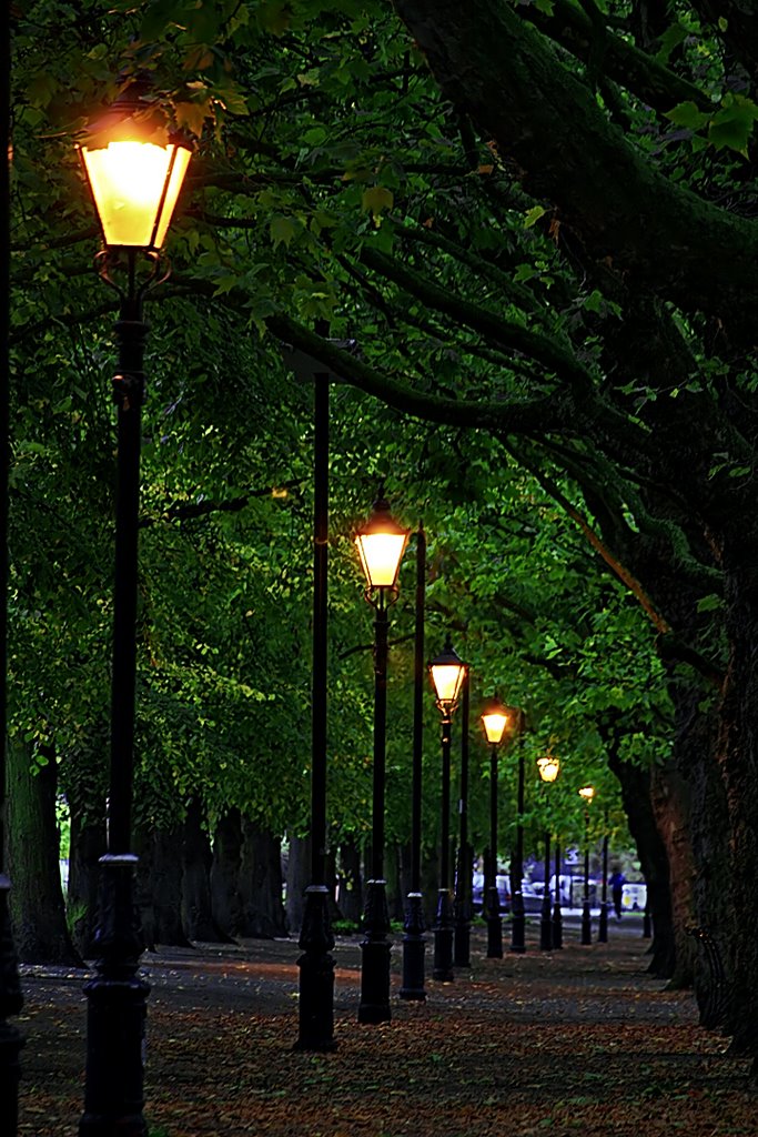 Night time Embankment, Бедворт