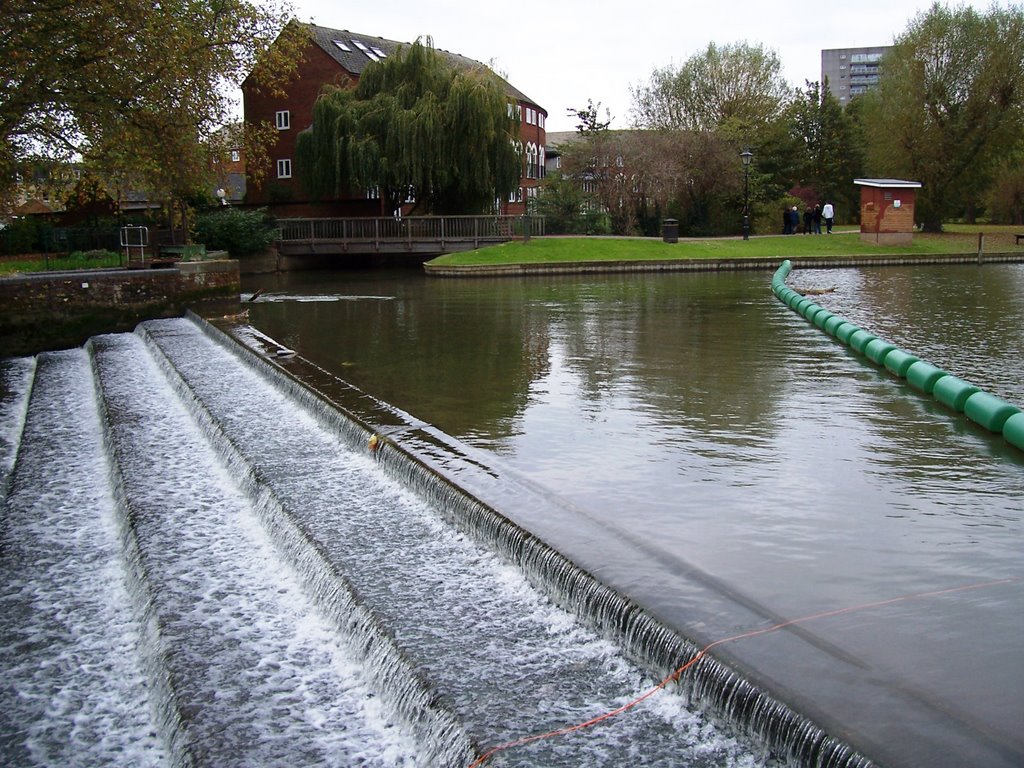 The Weir, Бедворт
