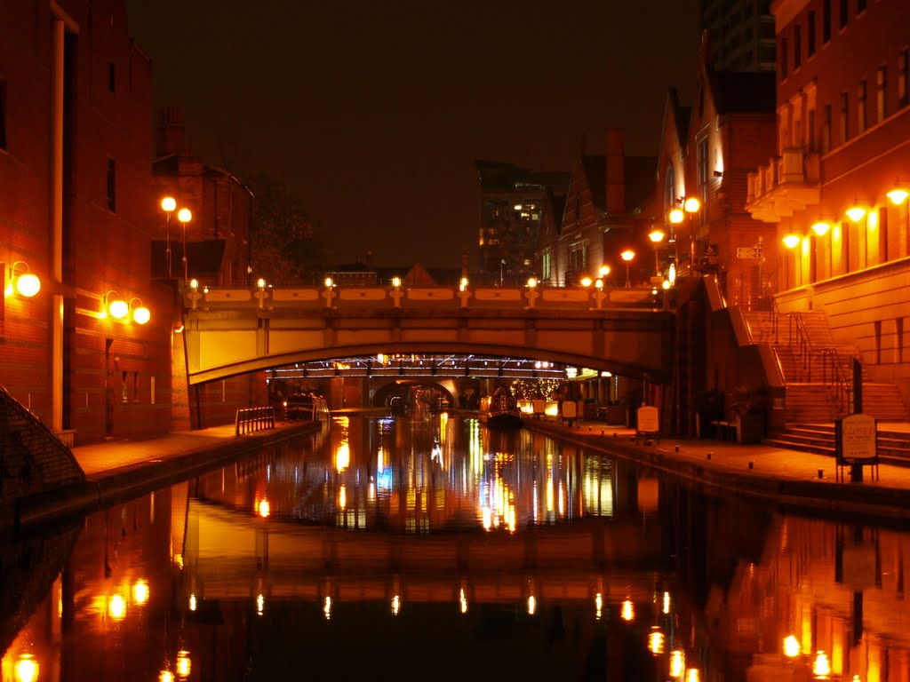 Birmingham Canal at Night Near Sea World...., Бирмингем