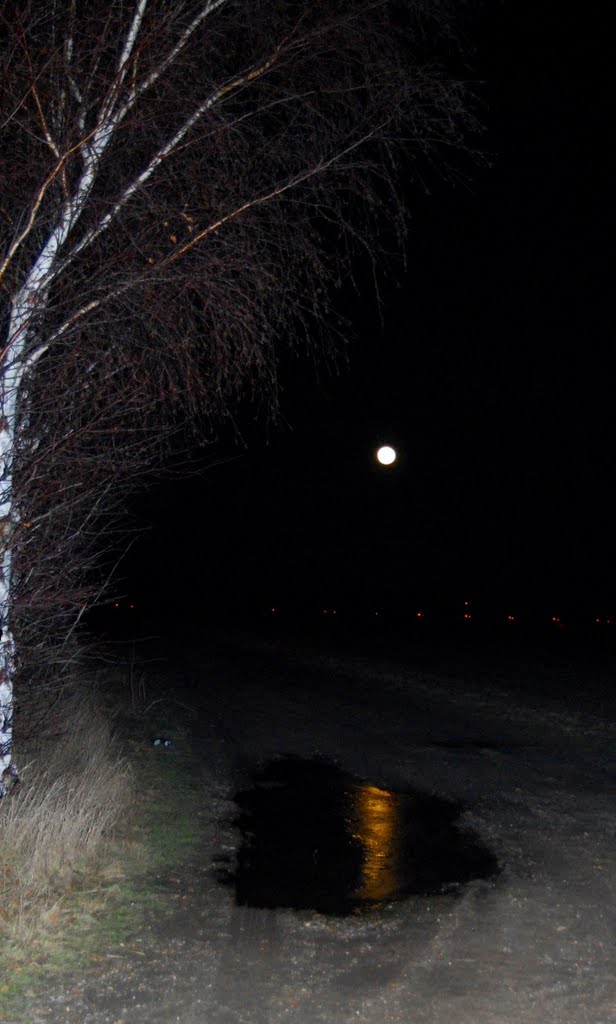 The Moon reflecting in a frozen puddle, Бистон