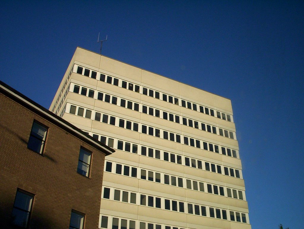 Building, Бишоп-Окленд