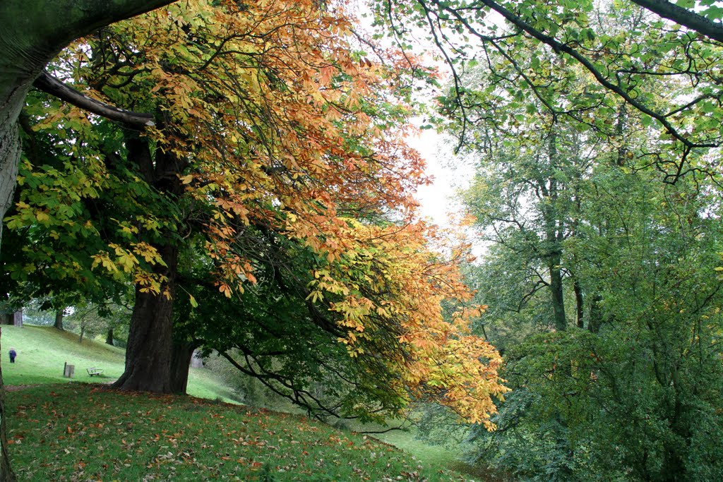 Autumn colours, Бишоп-Окленд