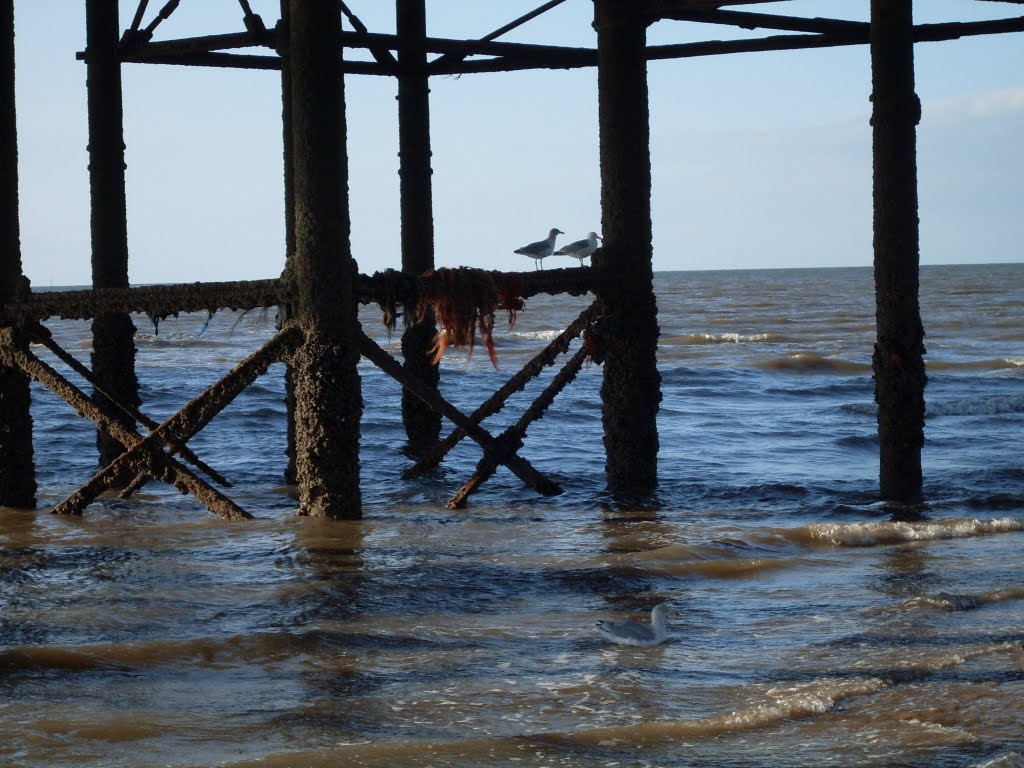 Birds and old pier., Блэкпул