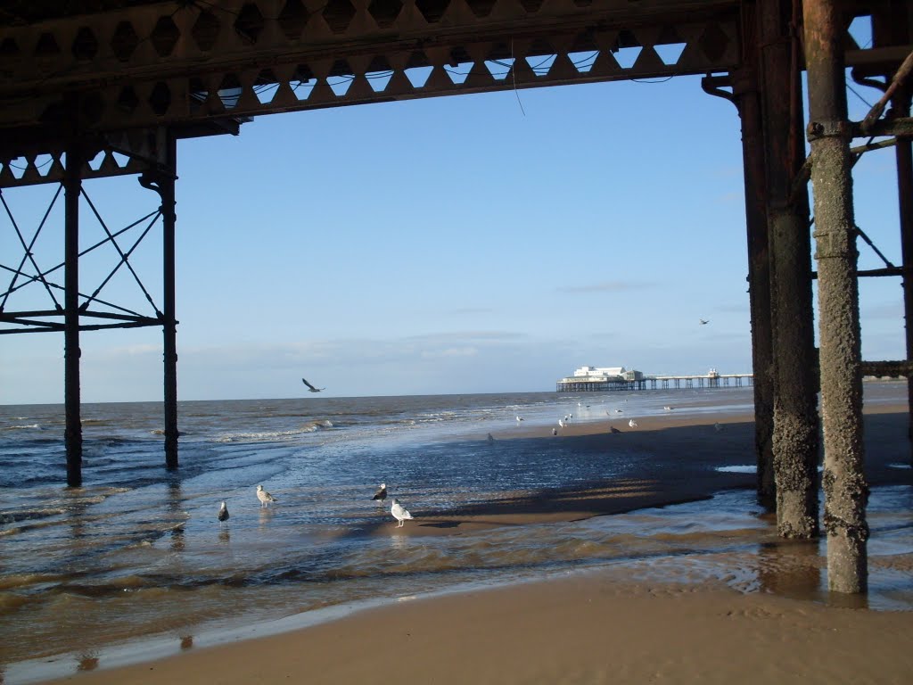 Old pier and Birds., Блэкпул