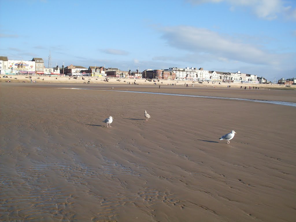 Blackpool,  Birds, tide  gone out...., Блэкпул