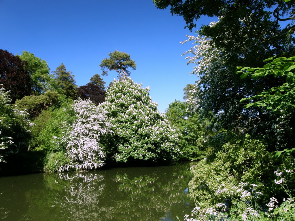 River Avon In Spring, Брадфорд