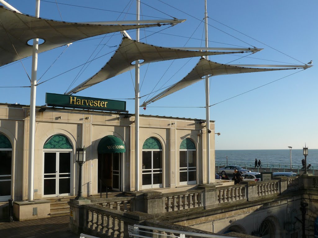 Sea Life Centre, Brighton, Брайтон