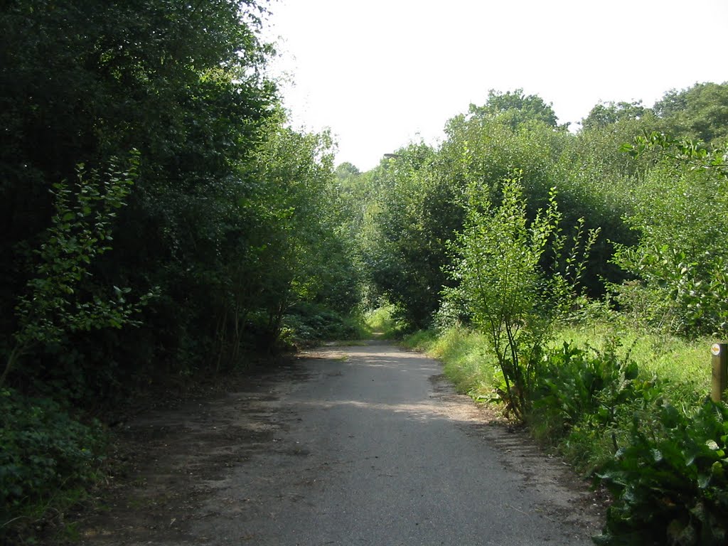 Path into Clements Wood, Брентвуд