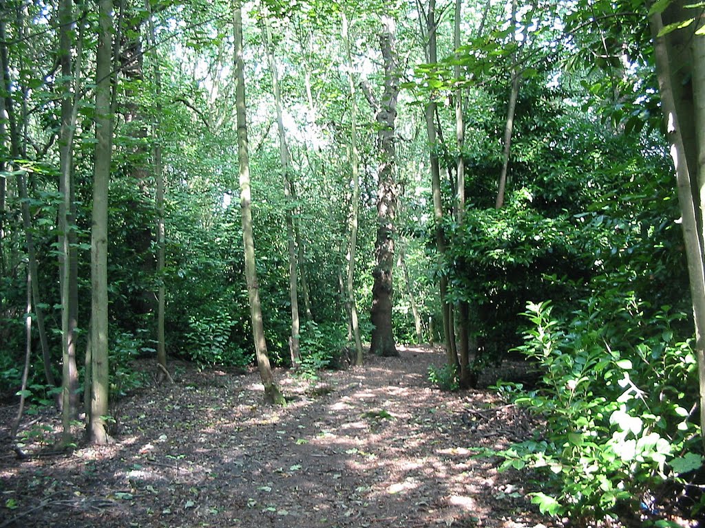 Clements Wood, Брентвуд
