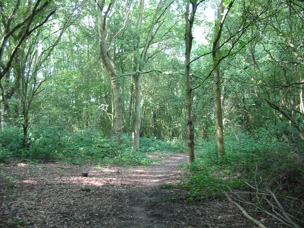 Clements Wood, Брентвуд