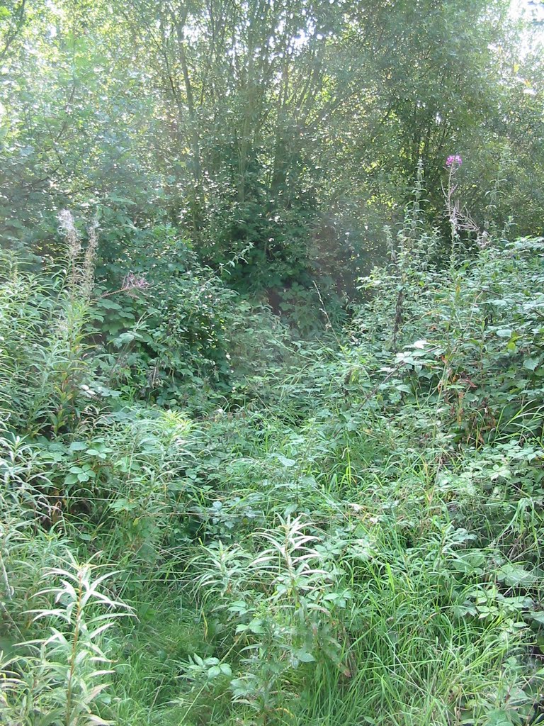 Overgrown path, Брентвуд