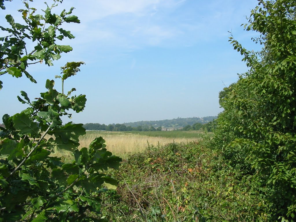 View from the path across the fields, Брентвуд