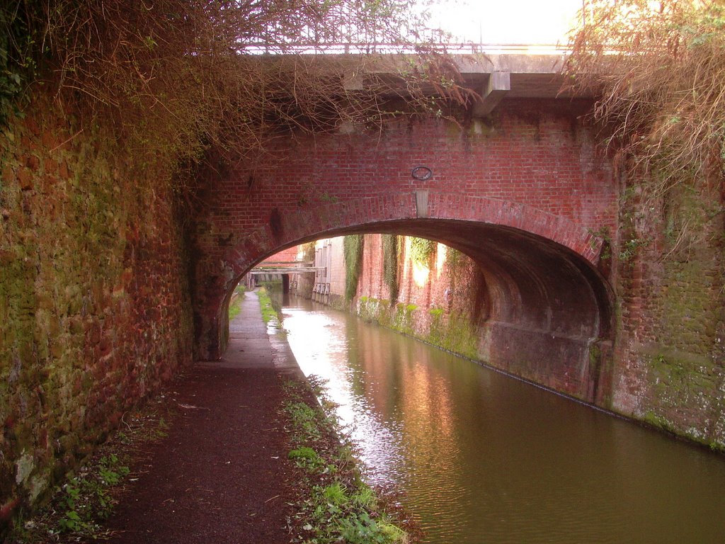 on the Taunton & Bridgwater Canal, Бриджуотер