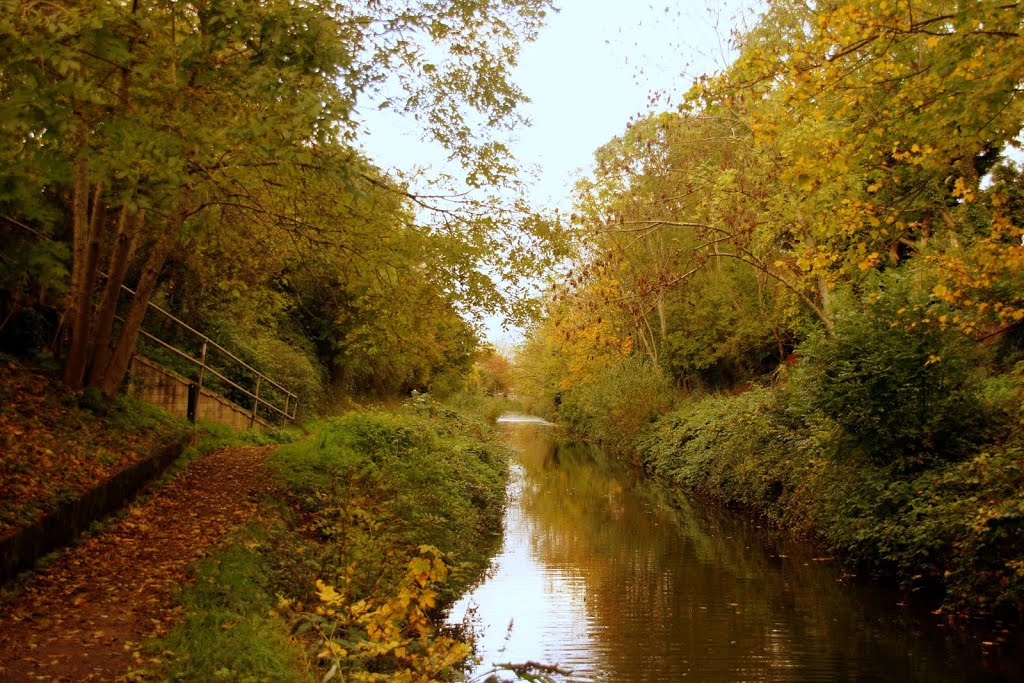 Autumn on the Canal, Бриджуотер