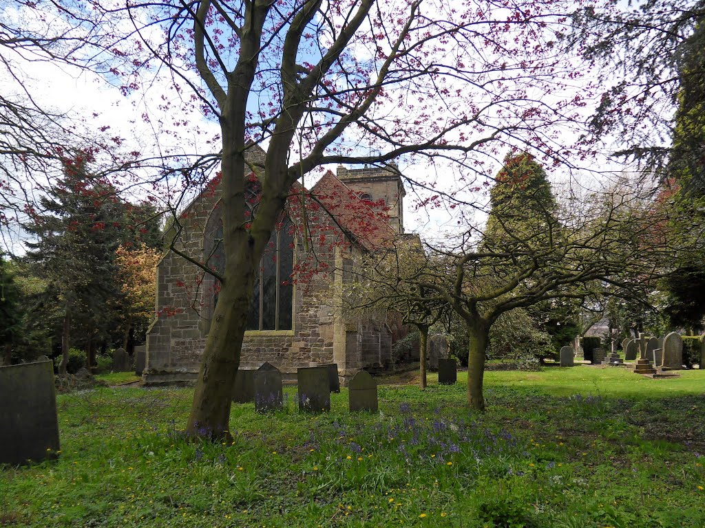 Sibson village churchyard is full of trees., Валтон