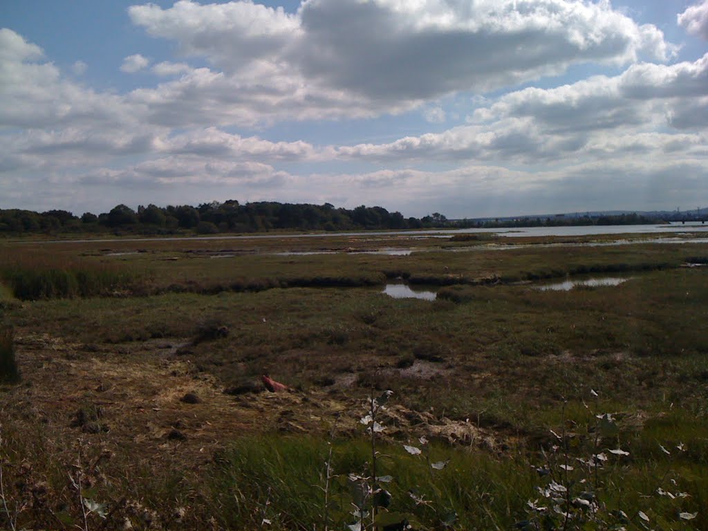 Marsh at Poole, near Upton Country Park, Ватерлоо