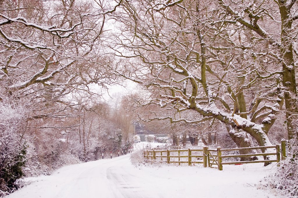 Winter in Wokingham!!!, Вокингем