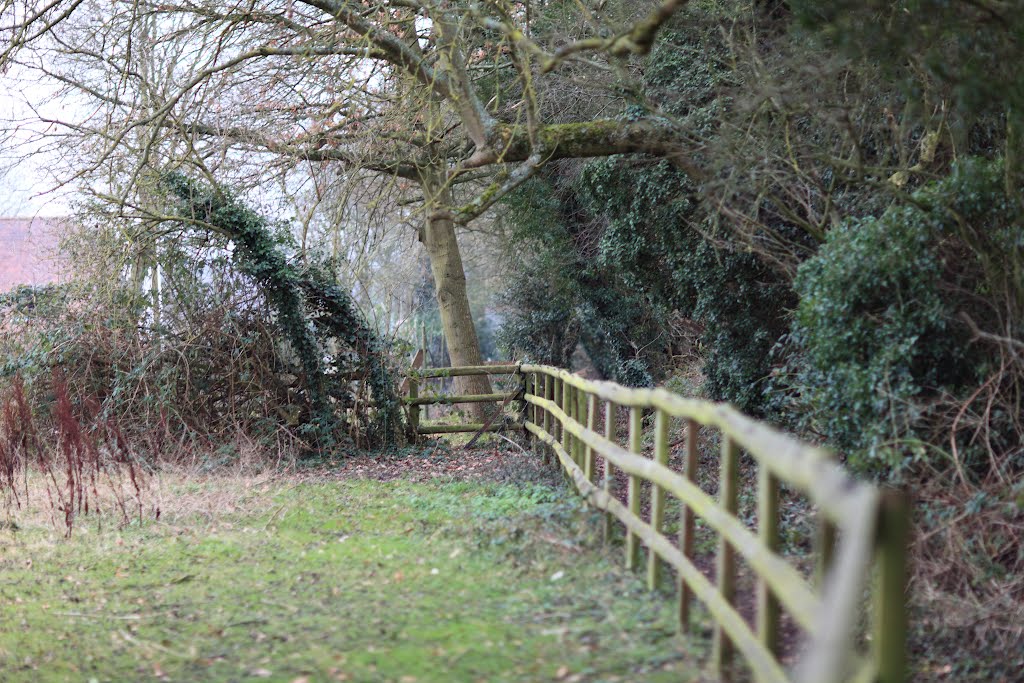 Path by Fence, Вокингем