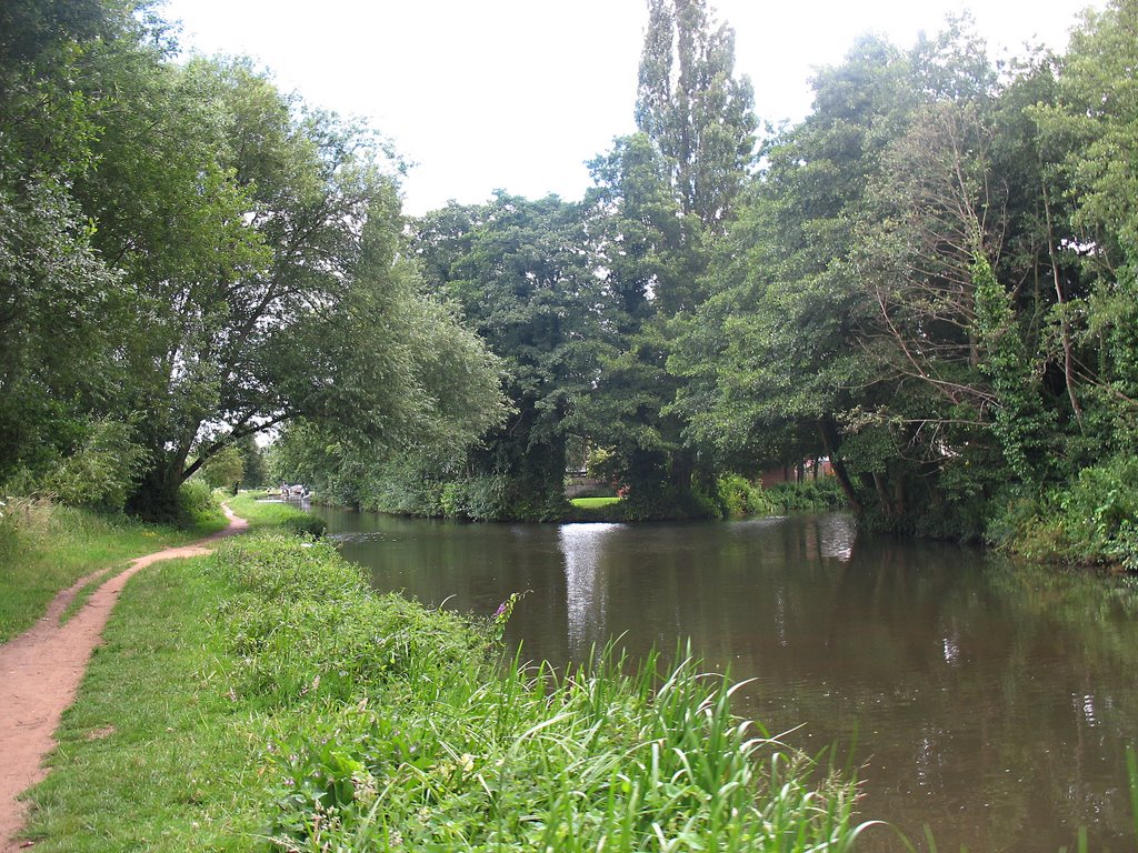 River in Godalming, Годалминг