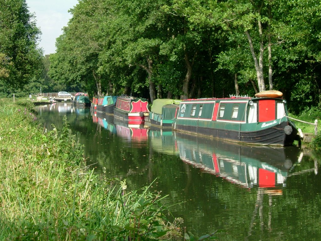 Canal Boats at Farncombe, Годалминг