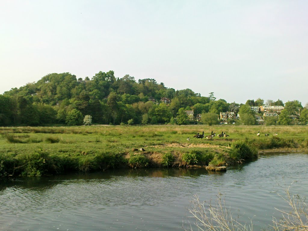 Looking north over the River Wey and Frith Hill, Godalming, Годалминг