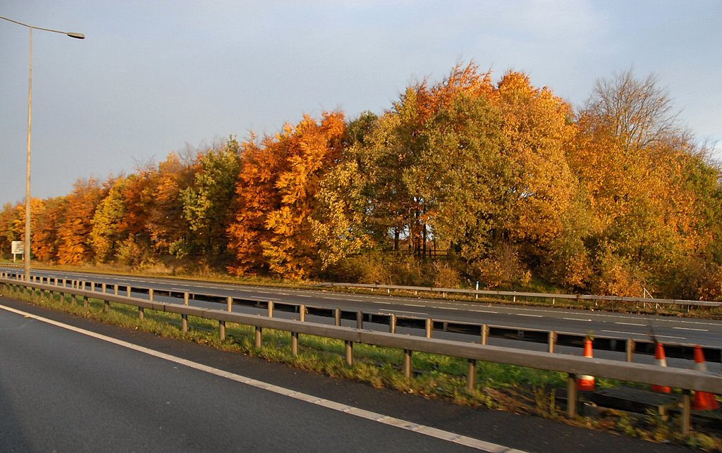 Motorway in Autumn, Голборн