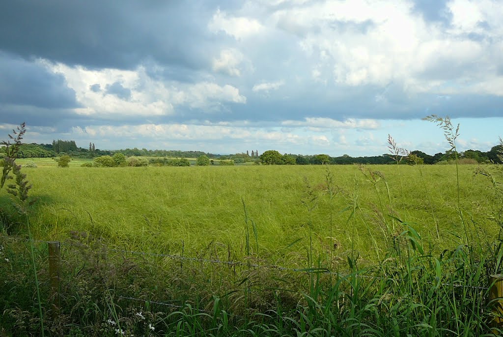 Across the fields, Голборн