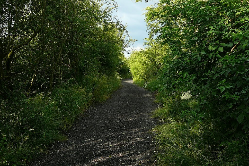 The old mineral line track, Голборн