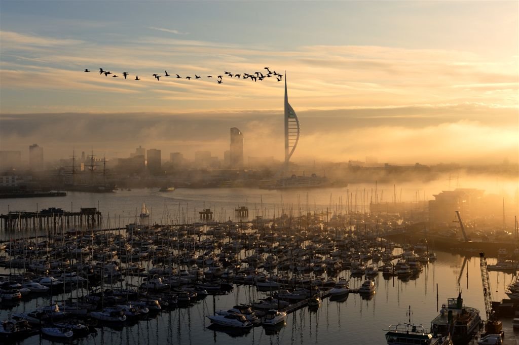 Portsmouth Spinnaker Tower  with Geese ~ the shot taken from Gosport, Госпорт